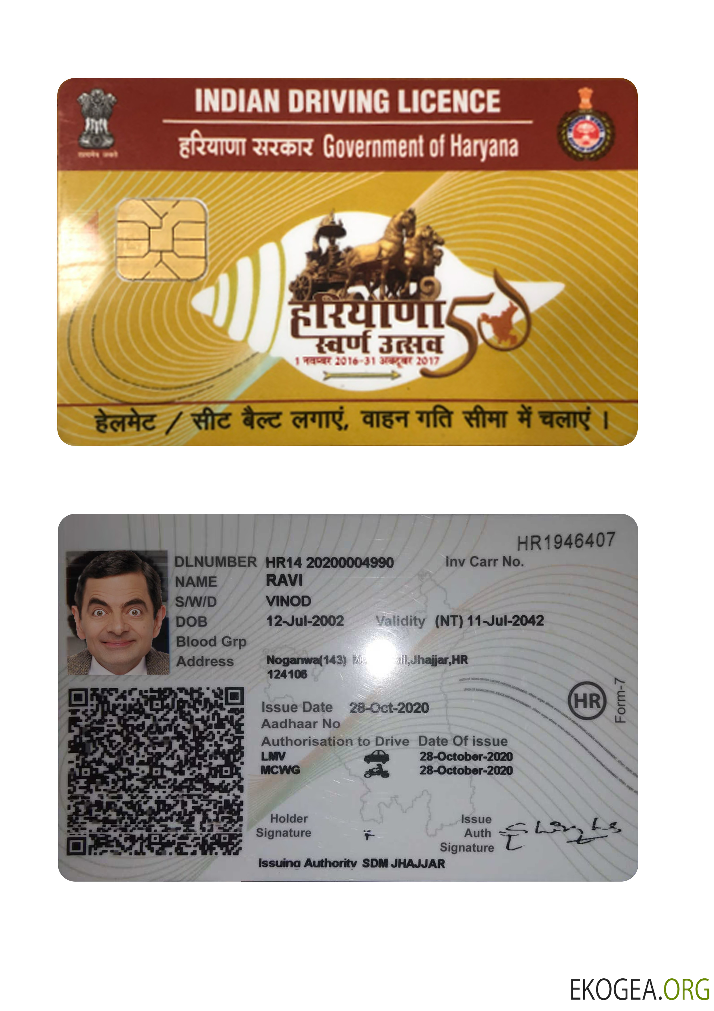 India Haryana state driving license